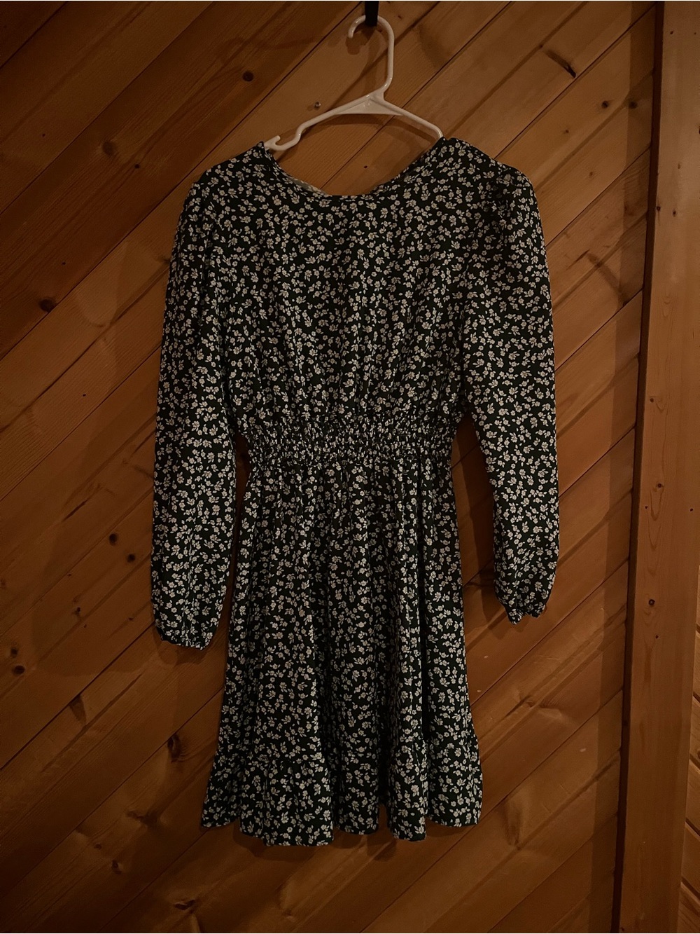 Two dresses - Picture 4 of 5